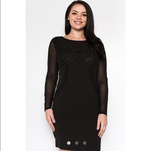 Dresses & Skirts - LAST ONE! Black Applique Dress w Mesh Sleeves